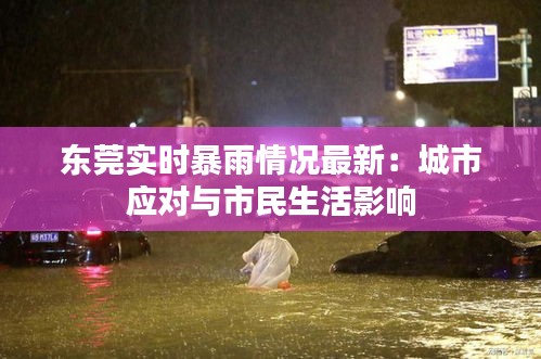 东莞实时暴雨情况最新：城市应对与市民生活影响