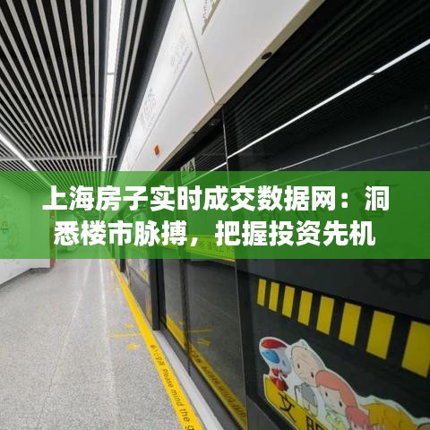 上海房子实时成交数据网：洞悉楼市脉搏，把握投资先机