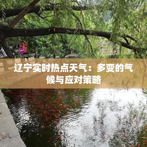 辽宁实时热点天气：多变的气候与应对策略