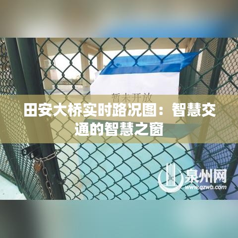 田安大桥实时路况图：智慧交通的智慧之窗