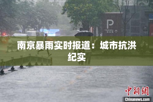 南京暴雨实时报道：城市抗洪纪实