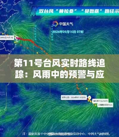 第11号台风实时路线追踪：风雨中的预警与应对