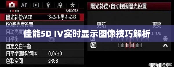 佳能5D IV实时显示图像技巧解析