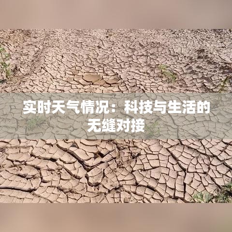 实时天气情况：科技与生活的无缝对接