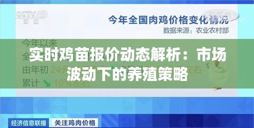 实时鸡苗报价动态解析：市场波动下的养殖策略