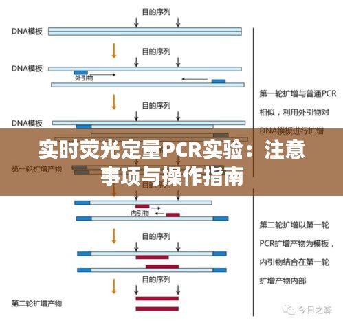 实时荧光定量PCR实验：注意事项与操作指南