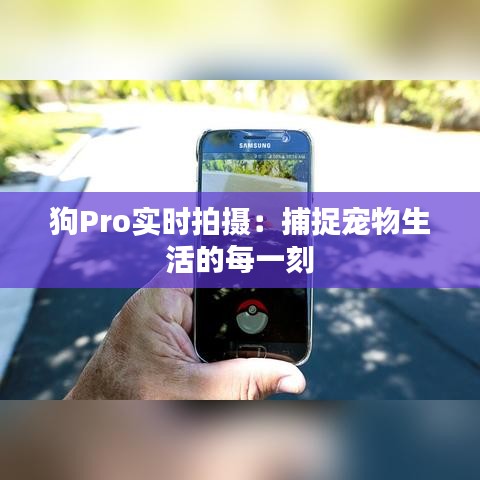 狗Pro实时拍摄：捕捉宠物生活的每一刻