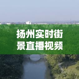 扬州实时街景直播视频下载：走进千年古城的流动画卷