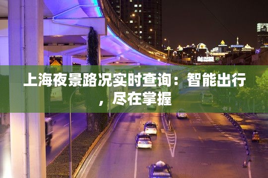 上海夜景路况实时查询：智能出行，尽在掌握