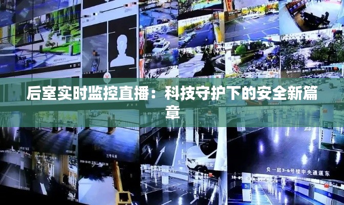 后室实时监控直播：科技守护下的安全新篇章