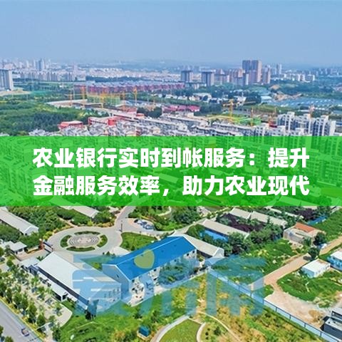 农业银行实时到帐服务：提升金融服务效率，助力农业现代化