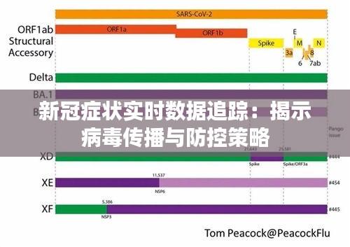 新冠症状实时数据追踪：揭示病毒传播与防控策略