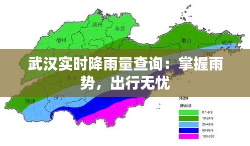 武汉实时降雨量查询：掌握雨势，出行无忧