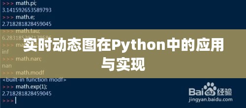 实时动态图在Python中的应用与实现