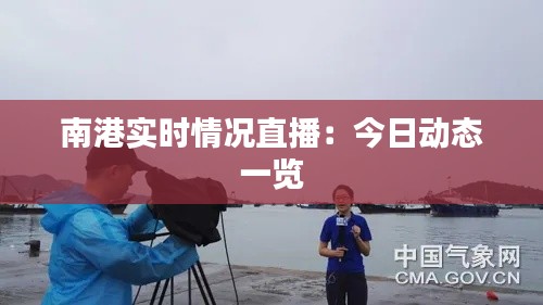 南港实时情况直播：今日动态一览