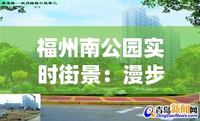 福州南公园实时街景：漫步绿意盎然的城市绿洲