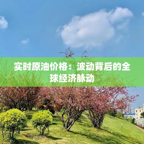 实时原油价格：波动背后的全球经济脉动