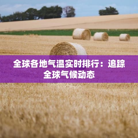 全球各地气温实时排行：追踪全球气候动态