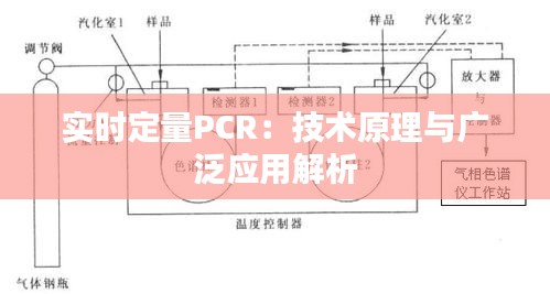 实时定量PCR：技术原理与广泛应用解析