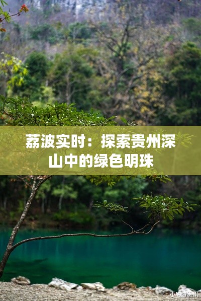 荔波实时：探索贵州深山中的绿色明珠