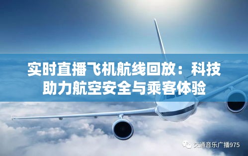 实时直播飞机航线回放：科技助力航空安全与乘客体验