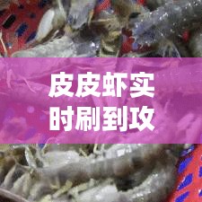 皮皮虾实时刷到攻略：轻松掌握热门动态