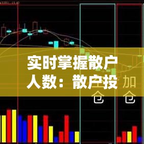 实时掌握散户人数：散户投资者必备的查询攻略