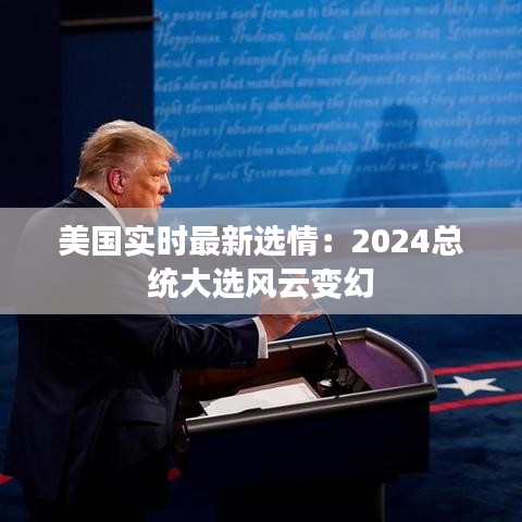 美国实时最新选情：2024总统大选风云变幻