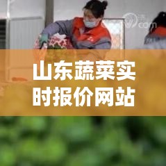 山东蔬菜实时报价网站：农业信息化时代的智慧选择