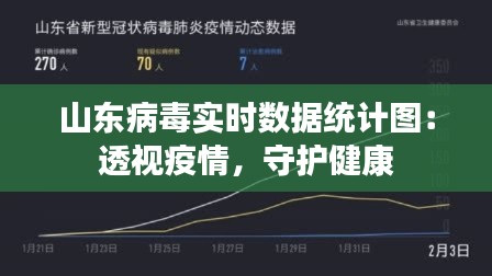 山东病毒实时数据统计图：透视疫情，守护健康