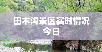 田木沟景区实时情况今日