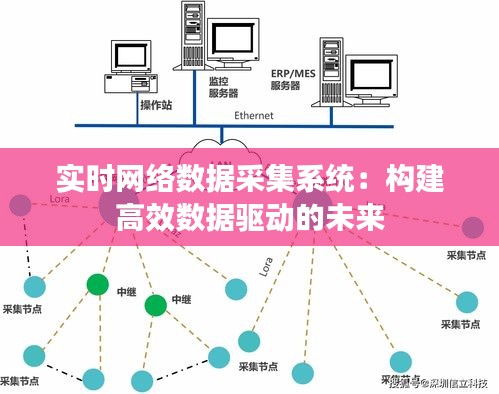 实时网络数据采集系统：构建高效数据驱动的未来