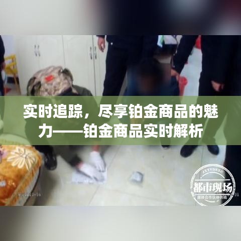 实时追踪，尽享铂金商品的魅力——铂金商品实时解析