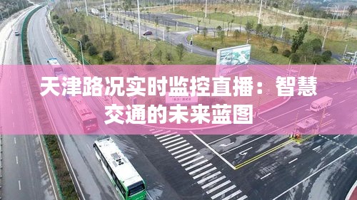 天津路况实时监控直播：智慧交通的未来蓝图