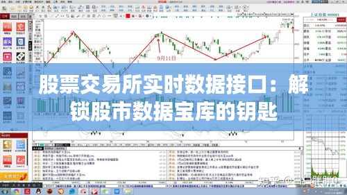 股票交易所实时数据接口：解锁股市数据宝库的钥匙