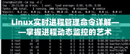 Linux实时进程管理命令详解——掌握进程动态监控的艺术