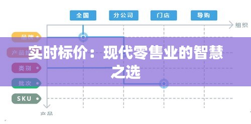 实时标价：现代零售业的智慧之选