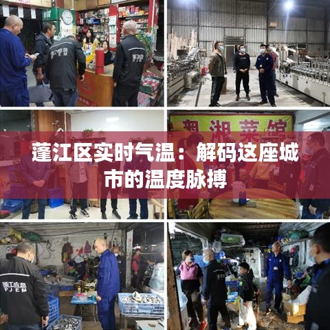 蓬江区实时气温：解码这座城市的温度脉搏