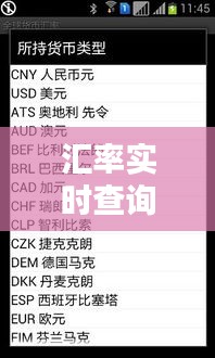 汇率实时查询换算器：您的全球货币转换助手