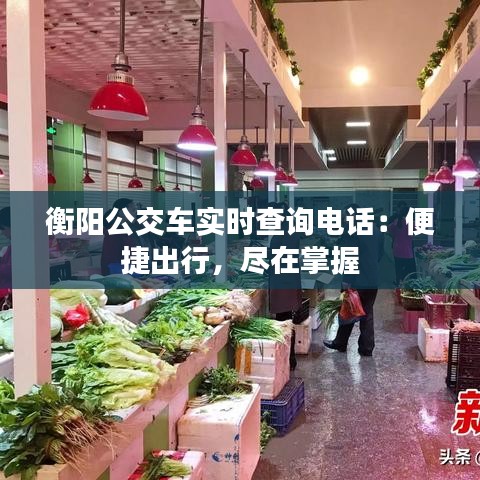 衡阳公交车实时查询电话：便捷出行，尽在掌握