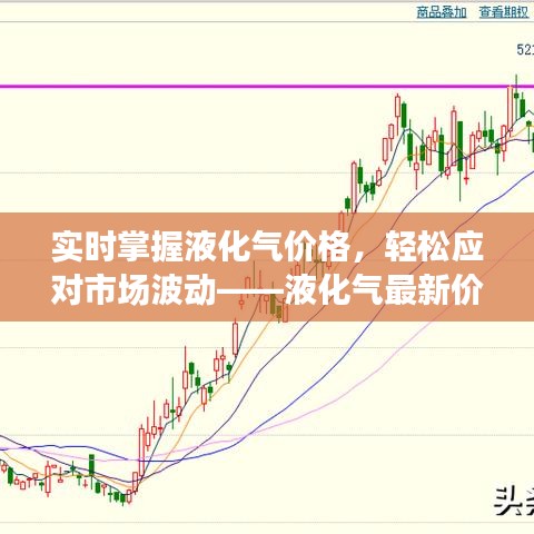 实时掌握液化气价格，轻松应对市场波动——液化气最新价格查询指南