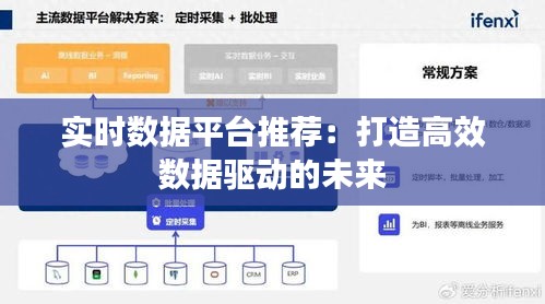 实时数据平台推荐：打造高效数据驱动的未来