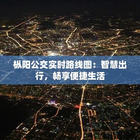 枞阳公交实时路线图：智慧出行，畅享便捷生活