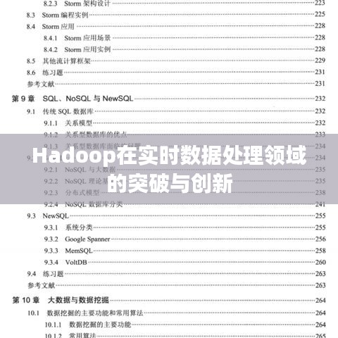 Hadoop在实时数据处理领域的突破与创新