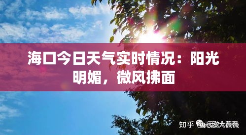 海口今日天气实时情况：阳光明媚，微风拂面