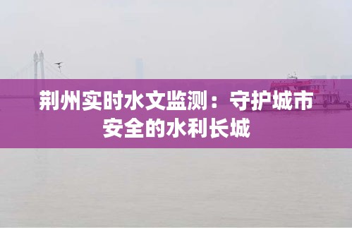 荆州实时水文监测：守护城市安全的水利长城