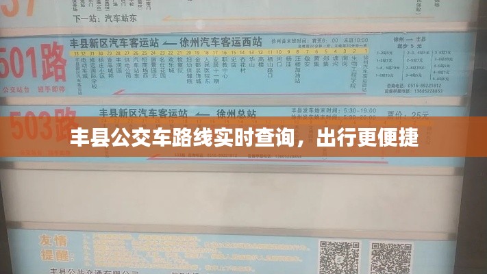 丰县公交车路线实时查询，出行更便捷