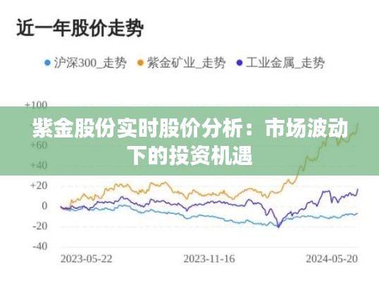 紫金股份实时股价分析：市场波动下的投资机遇