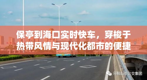 保亭到海口实时快车，穿梭于热带风情与现代化都市的便捷之旅