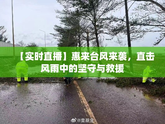 【实时直播】惠来台风来袭，直击风雨中的坚守与救援